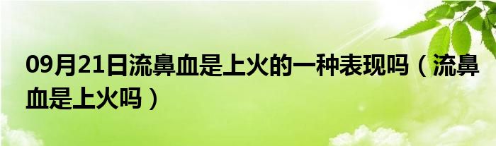 09月21日流鼻血是上火的一种表现吗（流鼻血是上火吗）