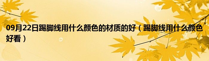 09月22日踢脚线用什么颜色的材质的好（踢脚线用什么颜色好看）