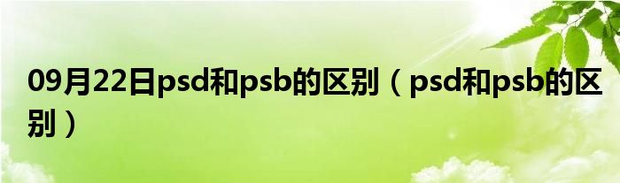 09月22日psd和psb的区别（psd和psb的区别）