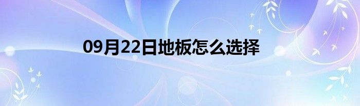 09月22日地板怎么选择