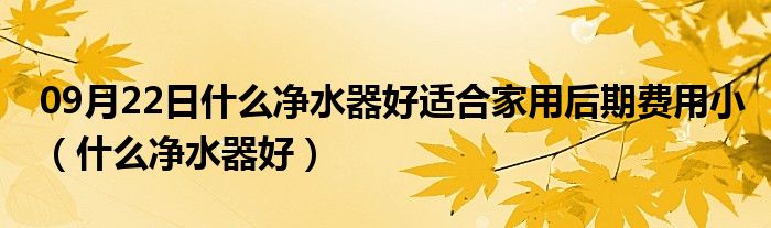 09月22日什么净水器好适合家用后期费用小（什么净水器好）