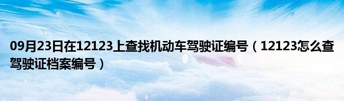 09月23日在12123上查找机动车驾驶证编号（12123怎么查驾驶证档案编号）