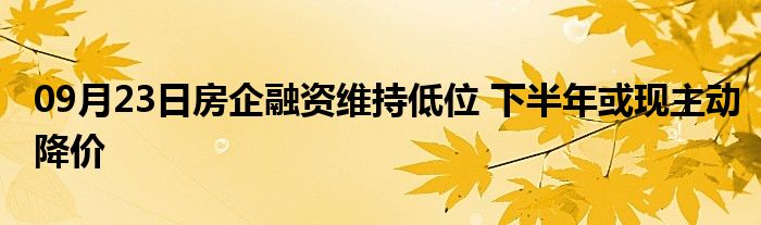 09月23日房企融资维持低位 下半年或现主动降价