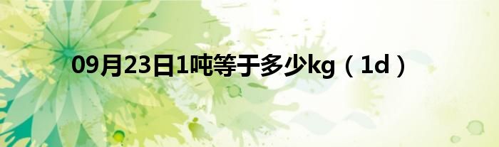 09月23日1吨等于多少kg（1d）