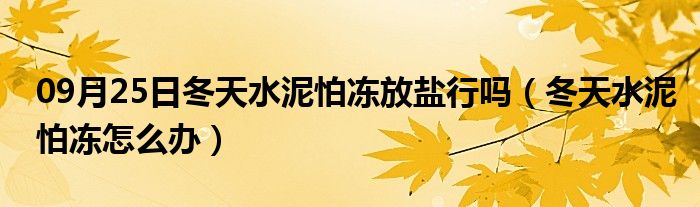 09月25日冬天水泥怕冻放盐行吗（冬天水泥怕冻怎么办）