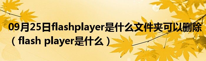 09月25日flashplayer是什么文件夹可以删除（flash player是什么）