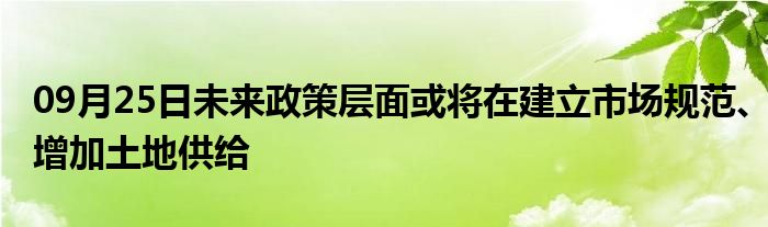 09月25日未来政策层面或将在建立市场规范、增加土地供给