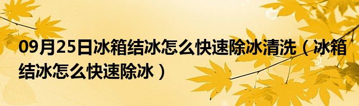 09月25日冰箱结冰怎么快速除冰清洗（冰箱结冰怎么快速除冰）