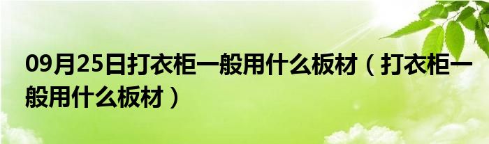 09月25日打衣柜一般用什么板材（打衣柜一般用什么板材）