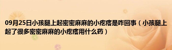 09月25日小孩腿上起密密麻麻的小疙瘩是咋回事（小孩腿上起了很多密密麻麻的小疙瘩用什么药）