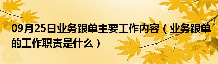 09月25日业务跟单主要工作内容（业务跟单的工作职责是什么）