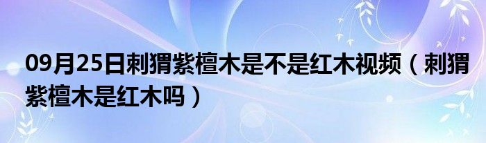 09月25日刺猬紫檀木是不是红木视频（刺猬紫檀木是红木吗）