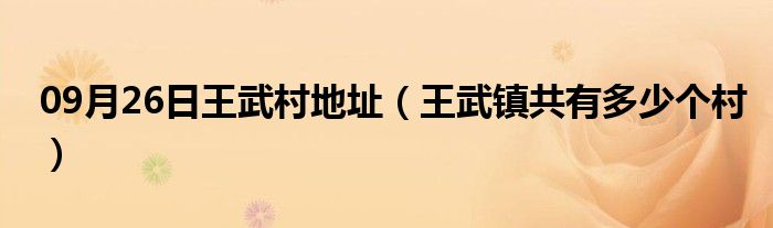 09月26日王武村地址（王武镇共有多少个村）