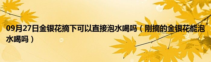 09月27日金银花摘下可以直接泡水喝吗（刚摘的金银花能泡水喝吗）