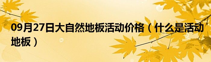 09月27日大自然地板活动价格（什么是活动地板）