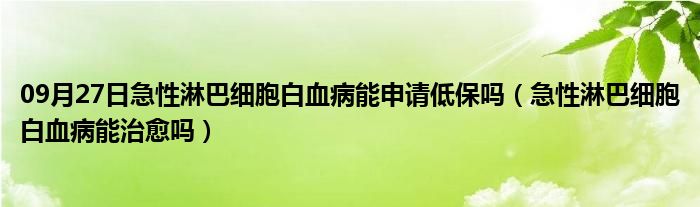 09月27日急性淋巴细胞白血病能申请低保吗（急性淋巴细胞白血病能治愈吗）