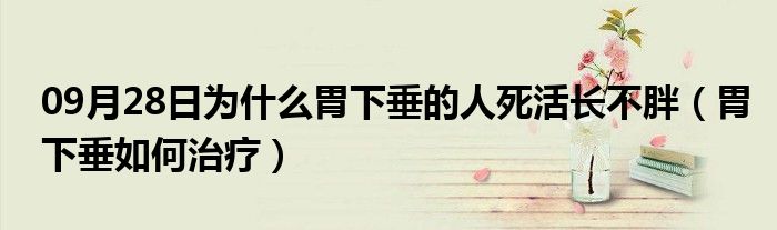 09月28日为什么胃下垂的人死活长不胖（胃下垂如何治疗）