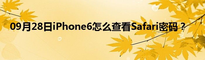 09月28日iPhone6怎么查看Safari密码？