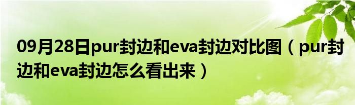 09月28日pur封边和eva封边对比图（pur封边和eva封边怎么看出来）