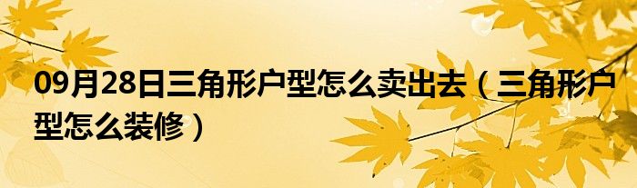 09月28日三角形户型怎么卖出去（三角形户型怎么装修）