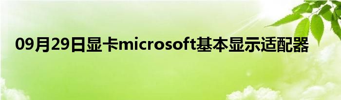 09月29日显卡microsoft基本显示适配器