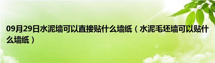 09月29日水泥墙可以直接贴什么墙纸（水泥毛坯墙可以贴什么墙纸）