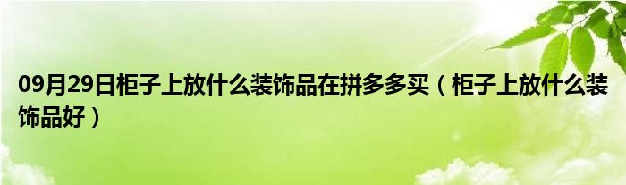 09月29日柜子上放什么装饰品在拼多多买（柜子上放什么装饰品好）