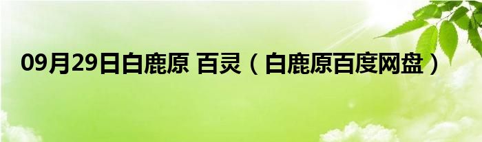 09月29日白鹿原 百灵（白鹿原百度网盘）