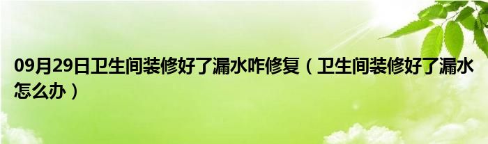 09月29日卫生间装修好了漏水咋修复（卫生间装修好了漏水怎么办）