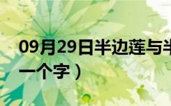 09月29日半边莲与半枝莲的区别（差别不止一个字）