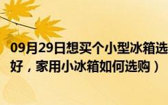 09月29日想买个小型冰箱选哪个牌子（家用小冰箱什么牌子好，家用小冰箱如何选购）