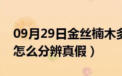 09月29日金丝楠木多少钱一方（金丝楠木要怎么分辨真假）