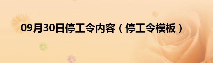 09月30日停工令内容（停工令模板）