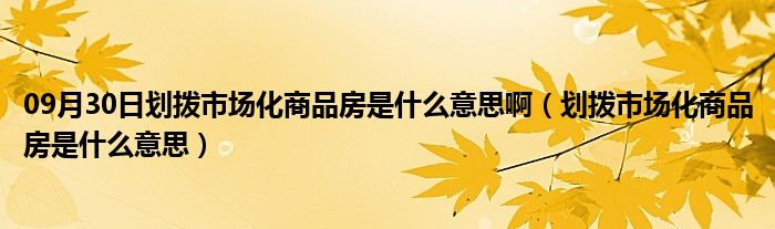 09月30日划拨市场化商品房是什么意思啊（划拨市场化商品房是什么意思）