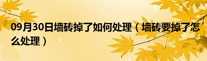 09月30日墙砖掉了如何处理（墙砖要掉了怎么处理）