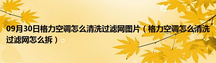 09月30日格力空调怎么清洗过滤网图片（格力空调怎么清洗过滤网怎么拆）