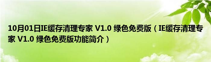 10月01日IE缓存清理专家 V1.0 绿色免费版（IE缓存清理专家 V1.0 绿色免费版功能简介）