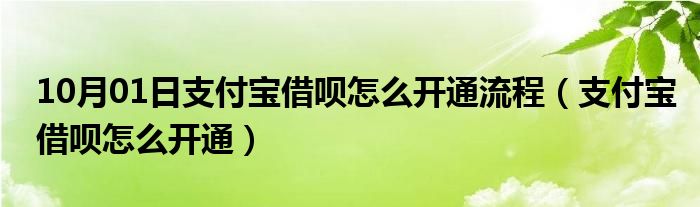 10月01日支付宝借呗怎么开通流程（支付宝借呗怎么开通）