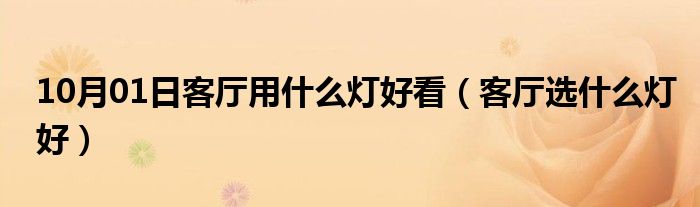 10月01日客厅用什么灯好看（客厅选什么灯好）