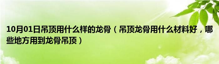 10月01日吊顶用什么样的龙骨（吊顶龙骨用什么材料好，哪些地方用到龙骨吊顶）