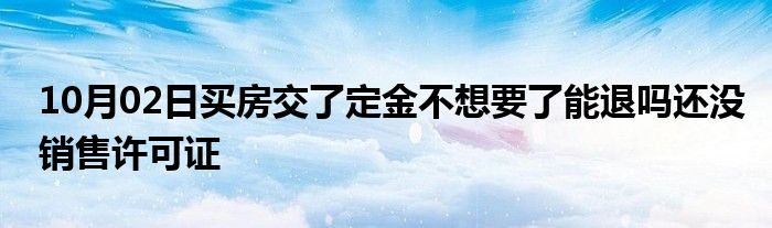 10月02日买房交了定金不想要了能退吗还没销售许可证