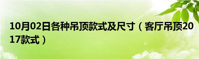 10月02日各种吊顶款式及尺寸（客厅吊顶2017款式）