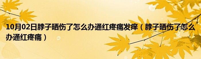 10月02日脖子晒伤了怎么办通红疼痛发痒（脖子晒伤了怎么办通红疼痛）