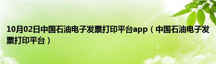 10月02日中国石油电子发票打印平台app（中国石油电子发票打印平台）