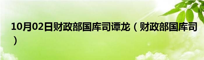 10月02日财政部国库司谭龙（财政部国库司）