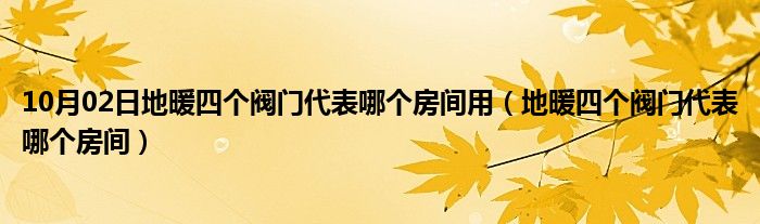 10月02日地暖四个阀门代表哪个房间用（地暖四个阀门代表哪个房间）