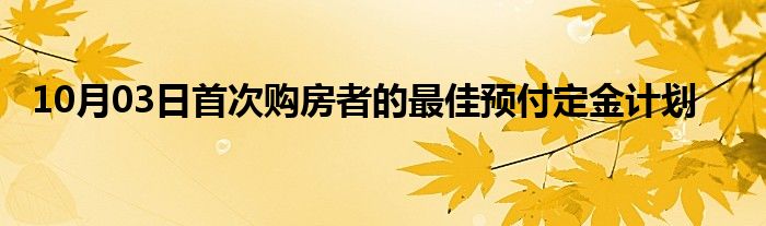 10月03日首次购房者的最佳预付定金计划