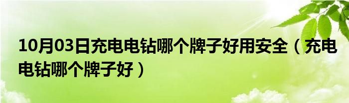 10月03日充电电钻哪个牌子好用安全（充电电钻哪个牌子好）