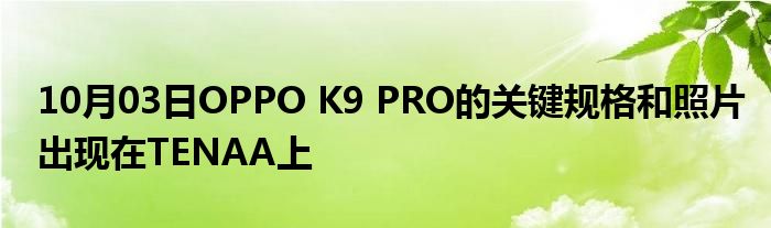 10月03日OPPO K9 PRO的关键规格和照片出现在TENAA上