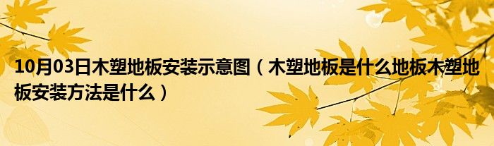 10月03日木塑地板安装示意图（木塑地板是什么地板木塑地板安装方法是什么）